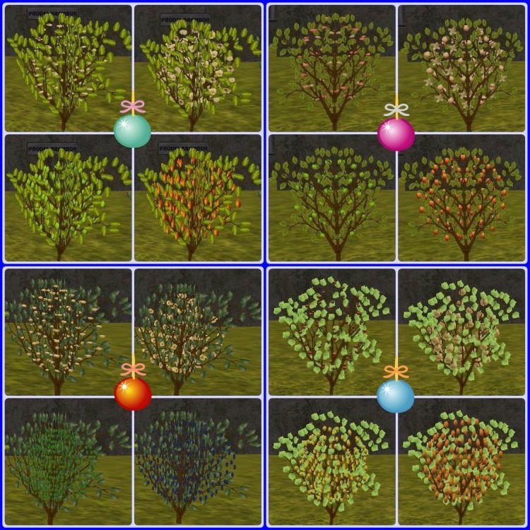 ovoce.jpg, 200kB